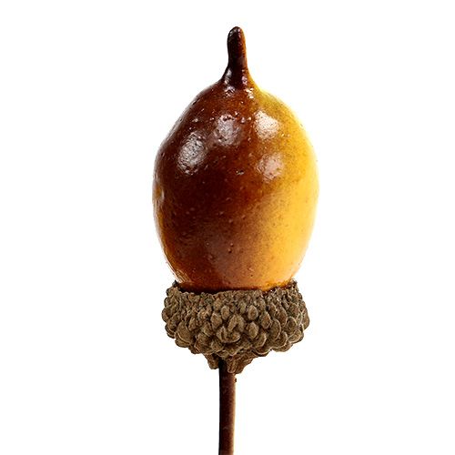 Floristik24 Deko Eichel am Draht 4cm L12cm 36St