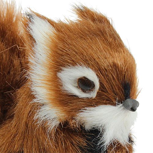 Floristik24 Deko Eichhörnchen Braun 8,5cm