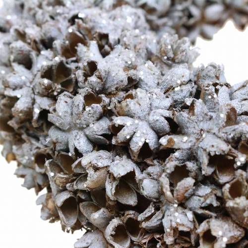 Floristik24 Deko Kranz Sternanis mit Glitzer Weiß gewaschen Ø20cm