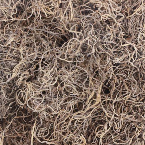 Floristik24 Deko Moos getrocknet Waldmoos Naturbraun Naturdeko 300g