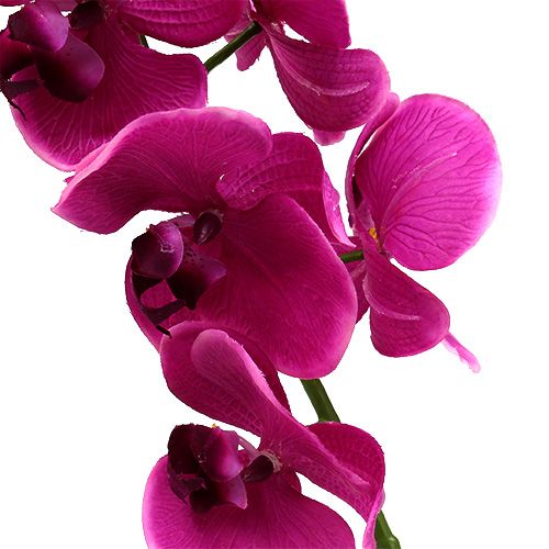 Floristik24 Deko Orchidee Pink L77cm