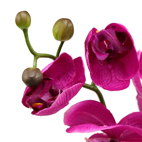 Floristik24 Deko Orchidee Pink L77cm