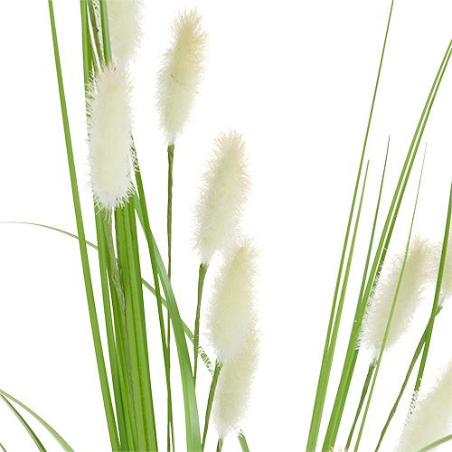 Floristik24 Dekogras Grün L85cm