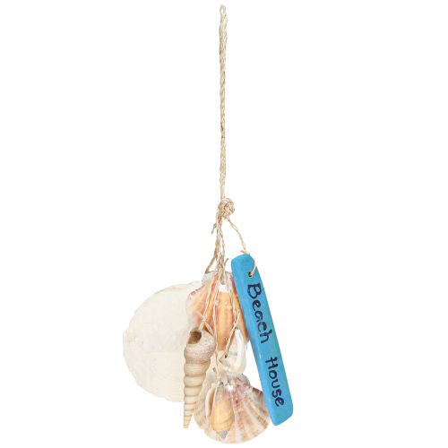Floristik24 Dekohänger Beach House Blau Capiz Turmschnecke H25cm