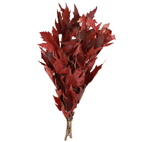 Floristik24 Dekozweige Ahorn Blätter Deko Ahornblätter Rot 50-60cm 100g