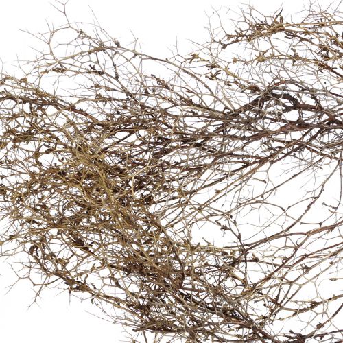 Floristik24 Dekozweige Iron Bush Zweige Naturdeko Holz Natur 250g