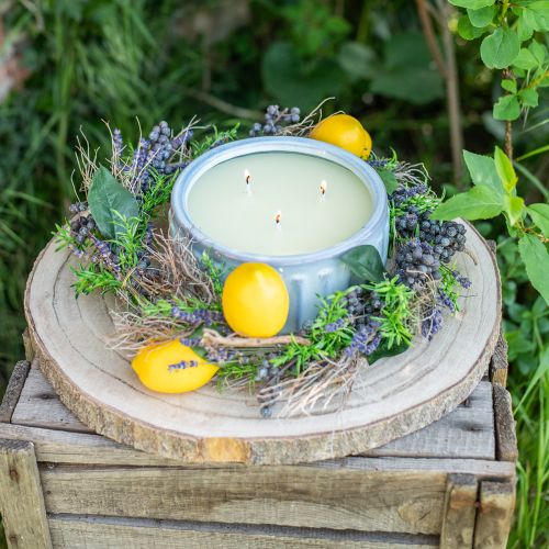 Floristik24 Dekozweige Iron Bush Zweige Naturdeko Holz Natur 250g