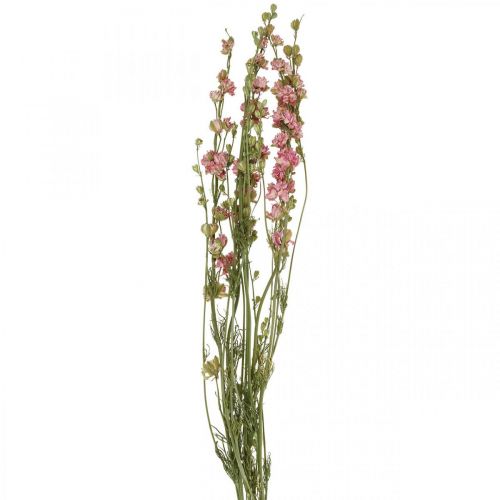 Trockenblume (künstlich) Rittersporn Delphinium Rosa, Deko Blumen Vase 64cm 25g