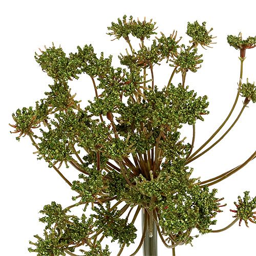 Floristik24 Dill künstlich Grün 76cm