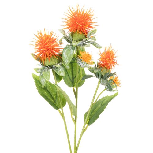 Künstliche Färberdistel orange als Kunstblume für Vasen und Dekoration 55cm 4St | Floristik24.de