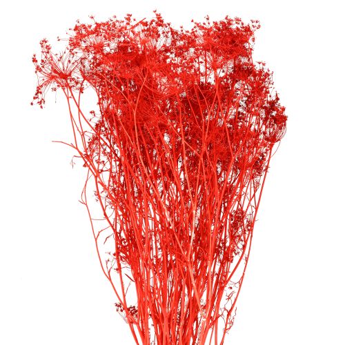 Artikel Doldenblütler Dekoblumenstrauß für Hochzeiten und Events