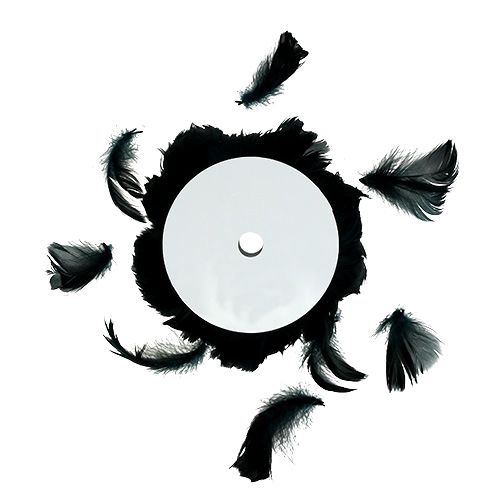 Floristik24 Draht mit Feder Schwarz 10m