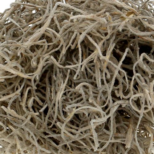 Floristik24 Dschungelmoos Natur 250g