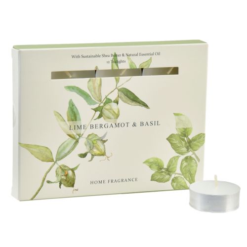 Duftkerzen Limette Bergamotte Basilikum Ø3,5cm 12 St