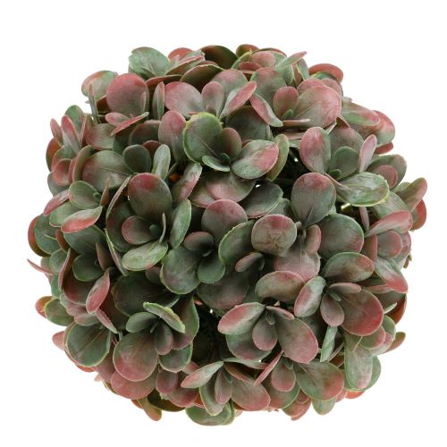 Floristik24 Echeveria Kugel künstlich Grün, Rot Ø22cm