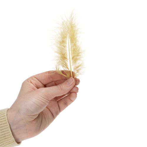 Artikel Echte Federn zum Basteln in Hellgelb 5cm – 10cm 20g