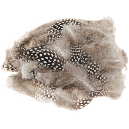 Echte Perlhuhnfedern Deko Federn Natur 4-12cm 100 St