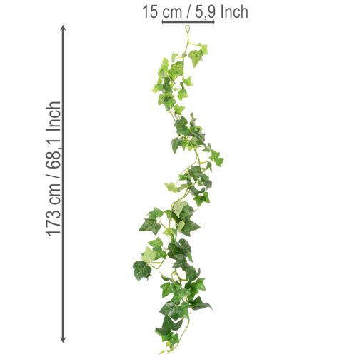 Künstliche Efeu Girlande  für Raumdekoration 173cm | Floristik24.de