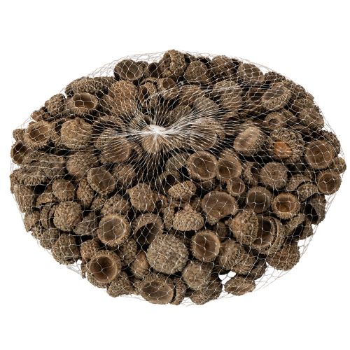 Eichelkappen natur Dekoschalen Herbst und Advent 2cm 300g | Floristik24.de