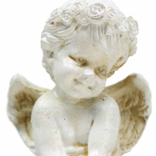 Floristik24 Engel Kantensitzer H8cm 4 St