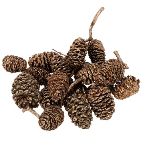 Erlenzapfen Naturprodukt zum Dekorieren und Basteln Gold 3cm 300g