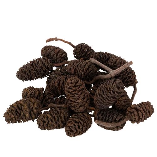 Naturbelassene Erlenzapfen lose für Dekoration 3cm 300g Erlenzapfen Naturbraun