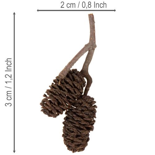 Naturbelassene Erlenzapfen lose für Dekoration 3cm 300g Erlenzapfen Naturbraun | Floristik24.de