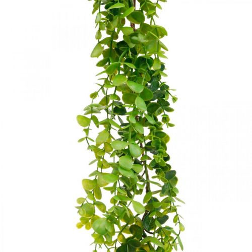 Floristik24 Hochzeitsdeko Eukalyptus-Girlande künstlich Grün 122cm