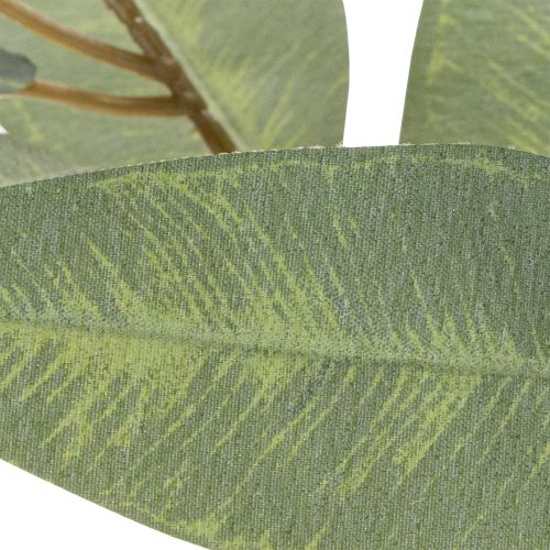 Künstlicher Eukalyptuszweig naturgrün Dekoration 100cm | Floristik24.de