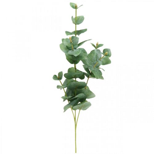 Floristik24 Eukalyptuszweig Künstliche Grünpflanze Eukalyptus Deko 75cm