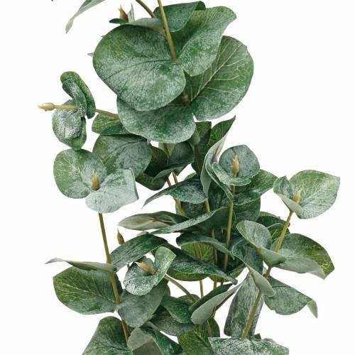 Floristik24.de Eukalyptuszweig Künstlicher Eukalyptus Dekozweig-11939 | Kunstzweige