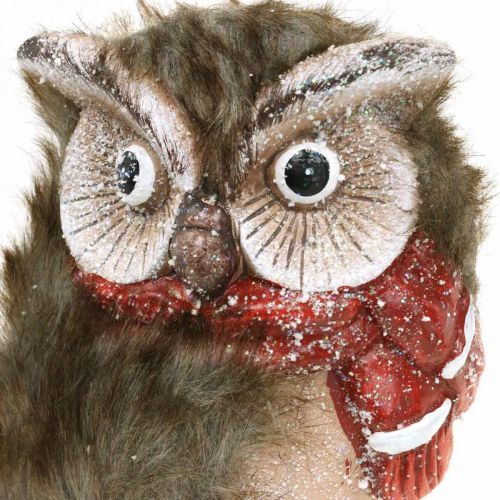 Floristik24 Deko Eule Keramik mit Schal Dekofiguren Winter H15cm 2 St