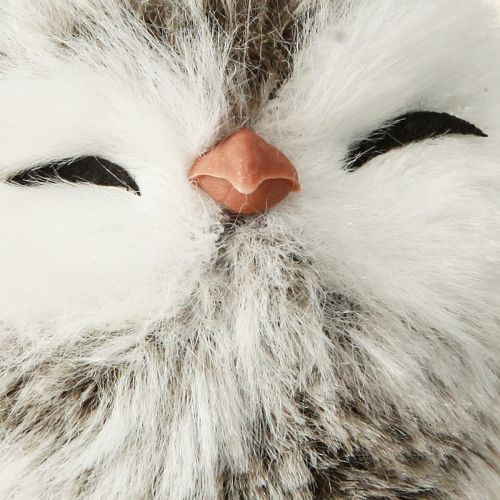 Floristik24 Eulen Deko Eulenküken zum Hängen Weiß Braun 6cm 4 St