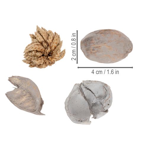 Floristik24 Potpourri Tischdeko mit Schalenfrüchten für natürliche Sommeratmosphäre