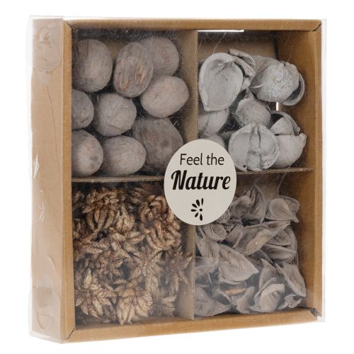 Potpourri Tischdeko mit Schalenfrüchten für natürliche Sommeratmosphäre | Floristik24.de