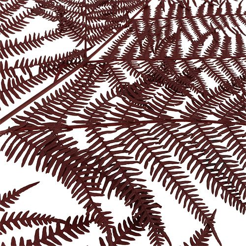 Floristik24 Farn gefärbt Rot 15 St