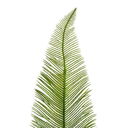 Floristik24 Farnblätter Grün 59cm 6St