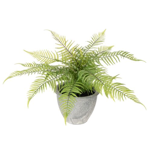 Künstlicher Farn im Pflanztopf für Wohnzimmer und Büro 35cm kaufen | Floristik24.de
