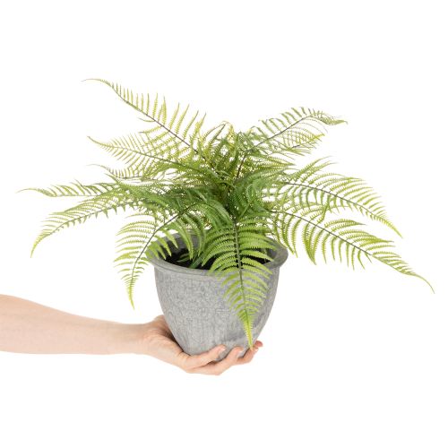 Künstlicher Farn im Pflanztopf für Wohnzimmer und Büro 35cm | Floristik24.de