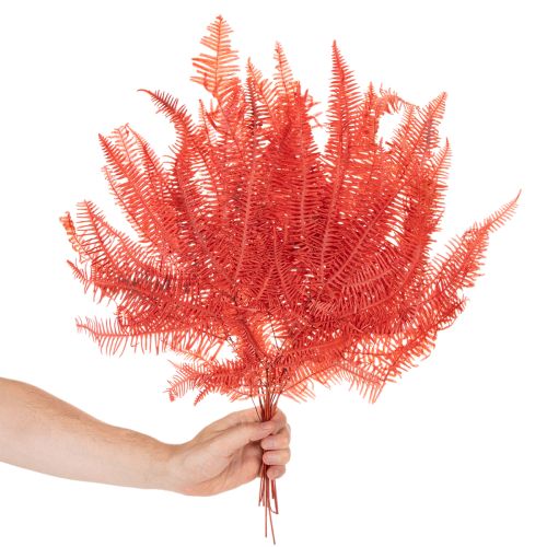 Farn konserviert Trockenblumen Deko Herbst 60cm 10St | Floristik24.de