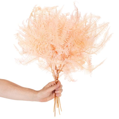 Farnwedel getrocknet Farn Deko für Vasen 60cm 10St | Floristik24.de