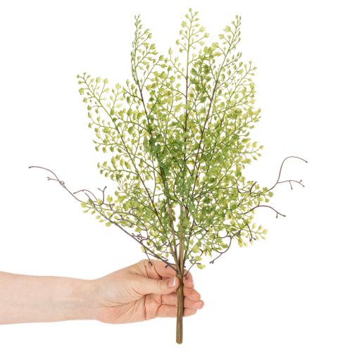 Künstlicher Ruscus Zweig grün für floristische Dekoration 41cm | Floristik24.de