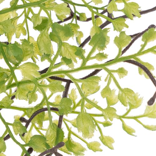 Künstlicher Ruscus Zweig grün für floristische Dekoration 41cm | Floristik24.de