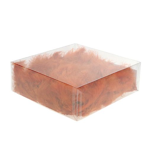 Floristik24 Feder kurz Dunkelorange 30g