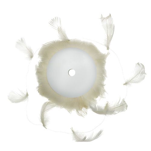 Artikel Feder am Draht Creme 10m