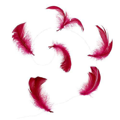 Floristik24 Feder am Draht Erika 10m