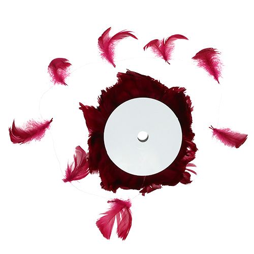 Floristik24 Feder am Draht Erika 10m