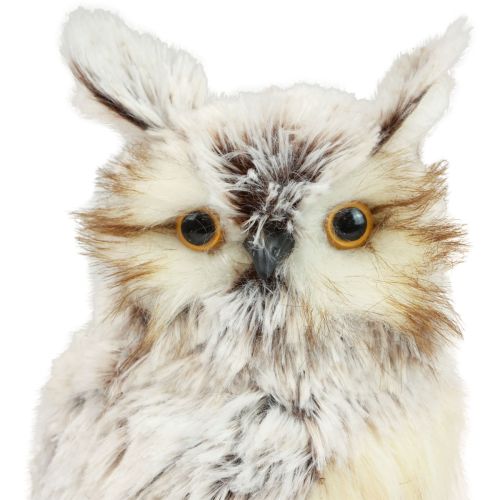 Floristik24 Eulen Deko Eulen Figuren, Waldtiere Deko 21/22cm Weiß-Braun 2er-Set