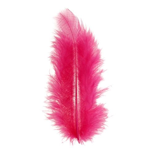 Floristik24 Federn kurz 30g Fuchsia