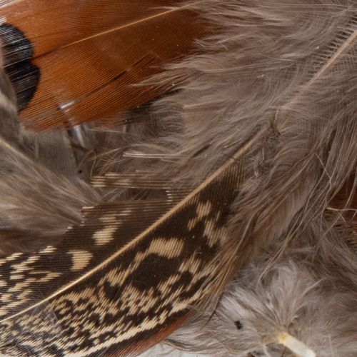 Artikel Federn für vielseitige Bastelideen zur kreativen Gestaltung und Dekorationsideen 5cm 3g